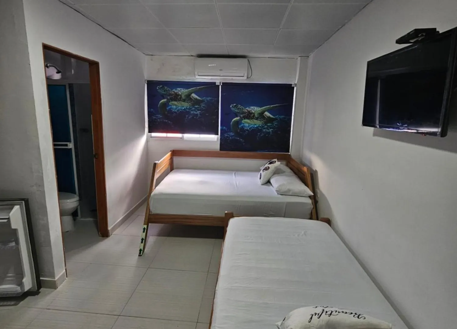 Hostal Shangiovys San Andres  Apartment